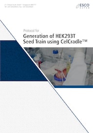 Protocol for Generation of HEK293T Seed Train Using CelCradle - EN